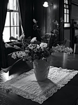 IMGP0044.jpg