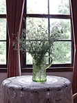 IMGP0065-2.jpg