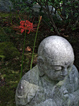 IMGP0343.jpg