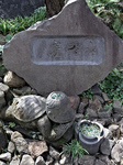 IMGP0431.jpg