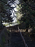 IMGP0695.jpg