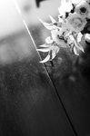 f14_3544.jpg