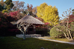 sd0290.jpg