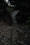 sd0359.jpg