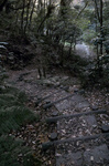 sd0363.jpg